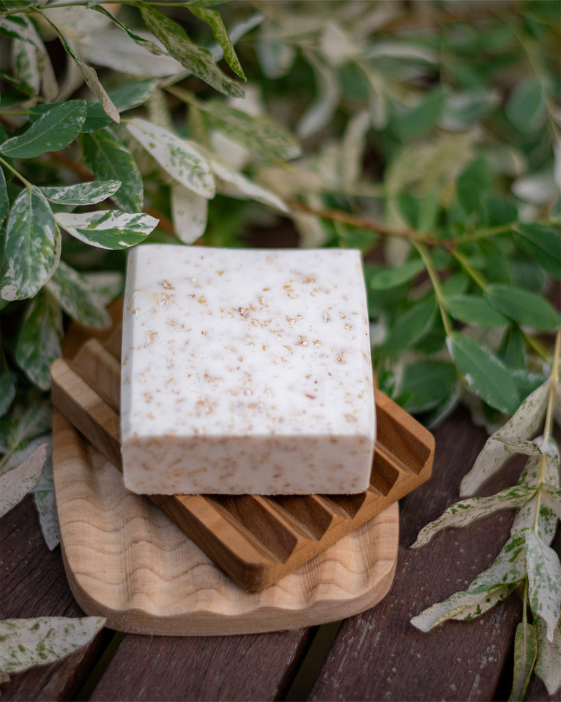 Natural Dog Soap Bars & Accessories