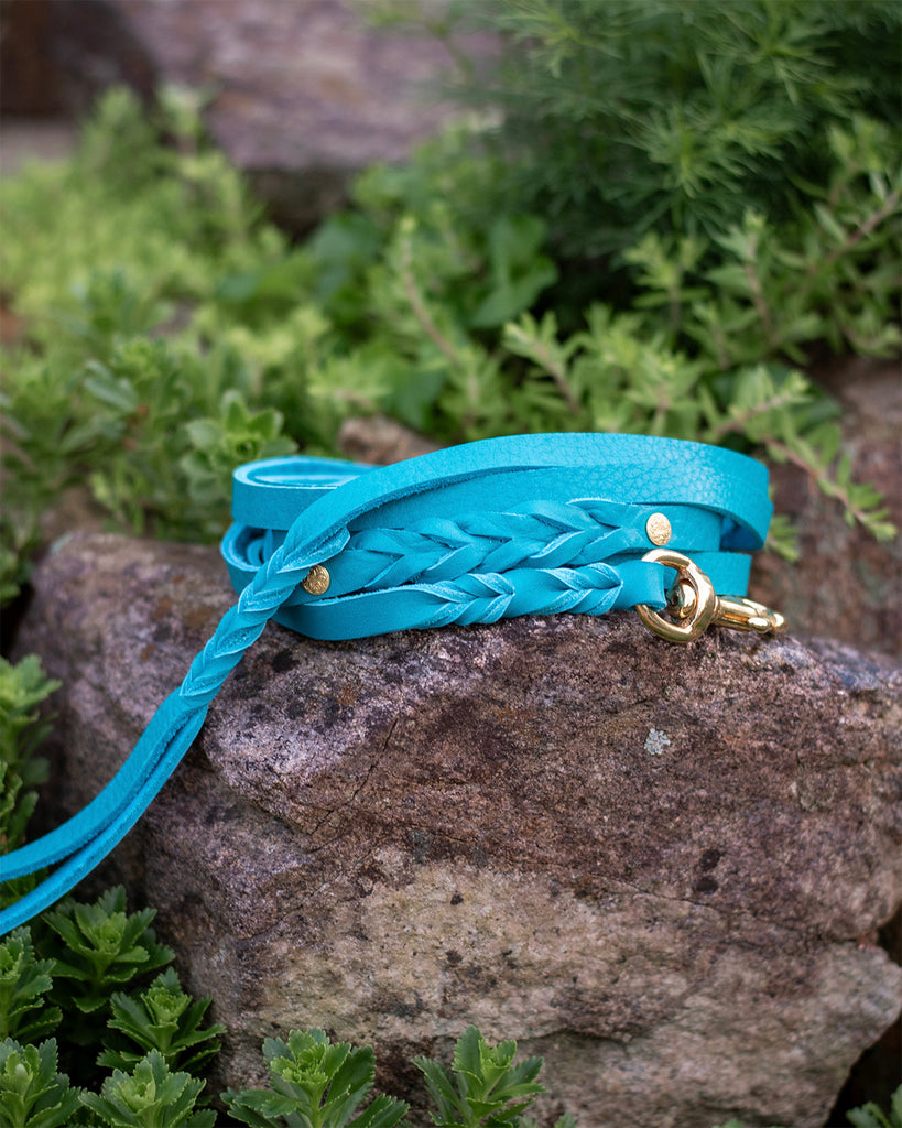 Bullhide Nosework Longline