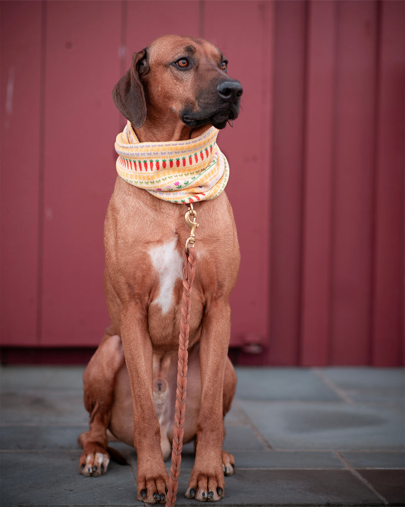 Spring Sweater Ruff