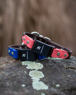 Lakeside 1" Limited Slip Martingale Collar For Fi GPS Trackers