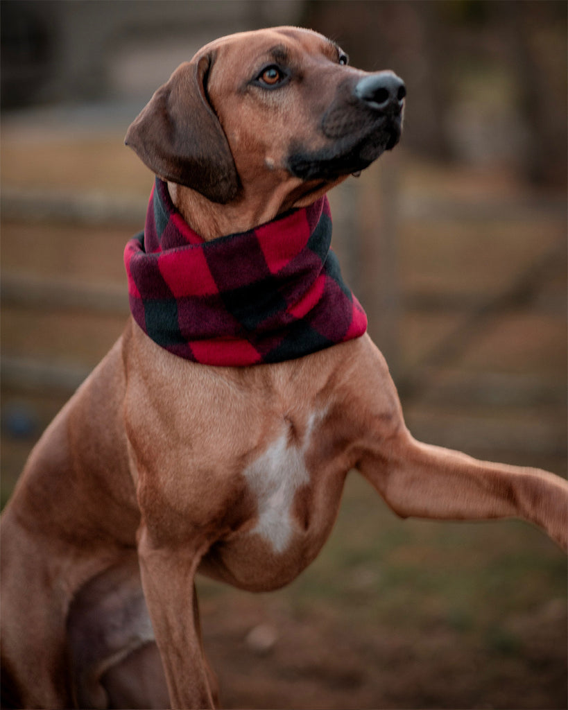 Classic Buffalo Plaid