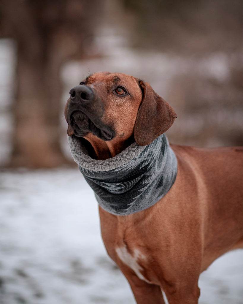 Storm Sherpa Ruff