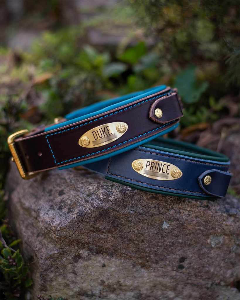 Durango 1.5" Buckle Collar for Fi GPS Trackers