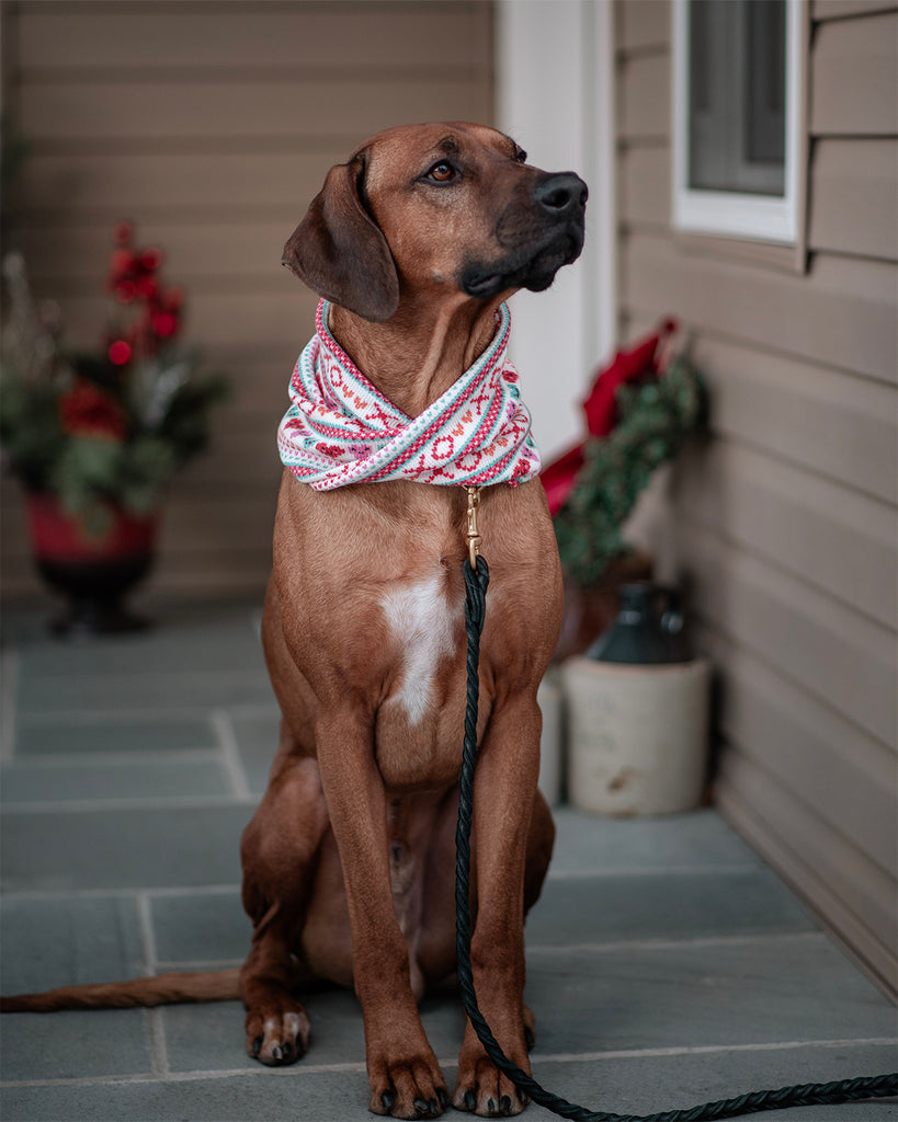 Valentine Sweater Ruff