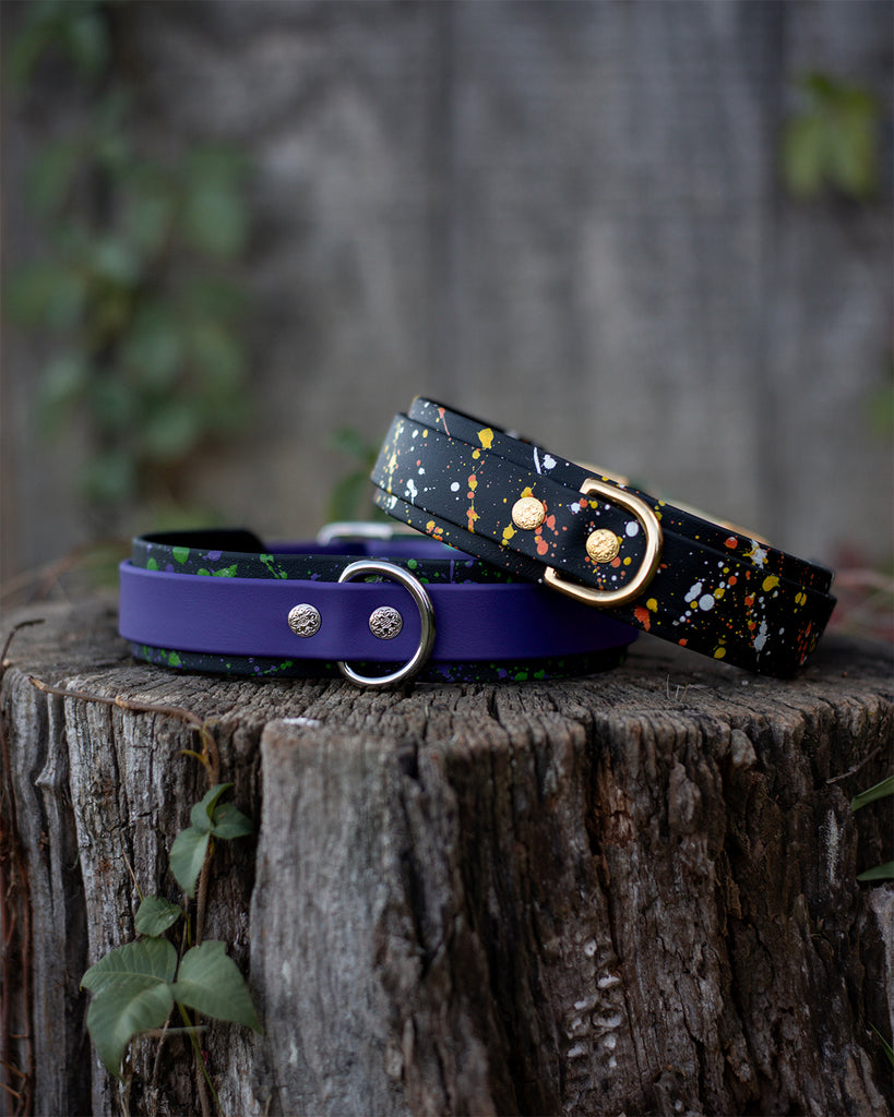 Spooky Splash! Biothane Dog Collars