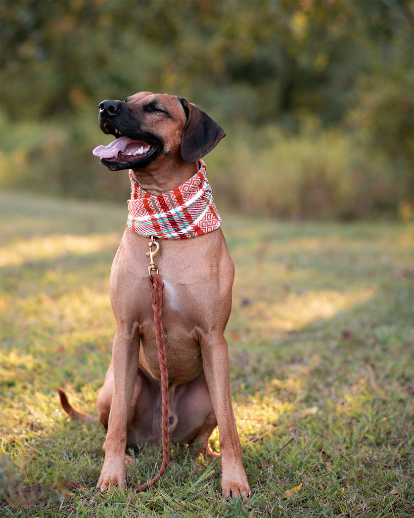 Brady Ruff