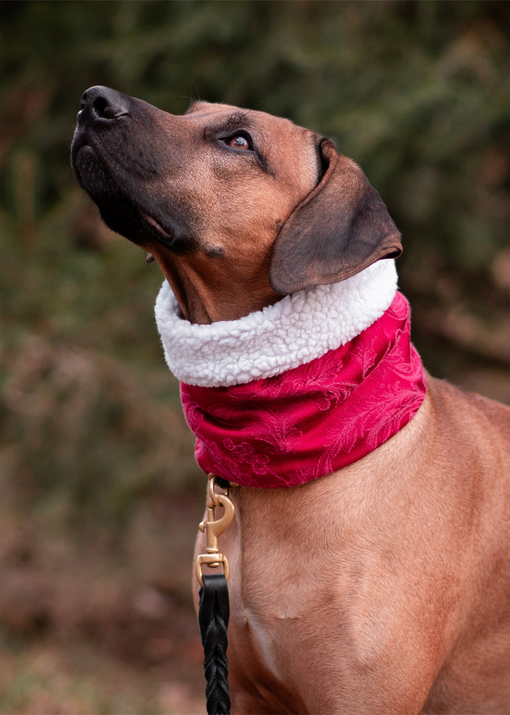 Nicholas Sherpa Ruff