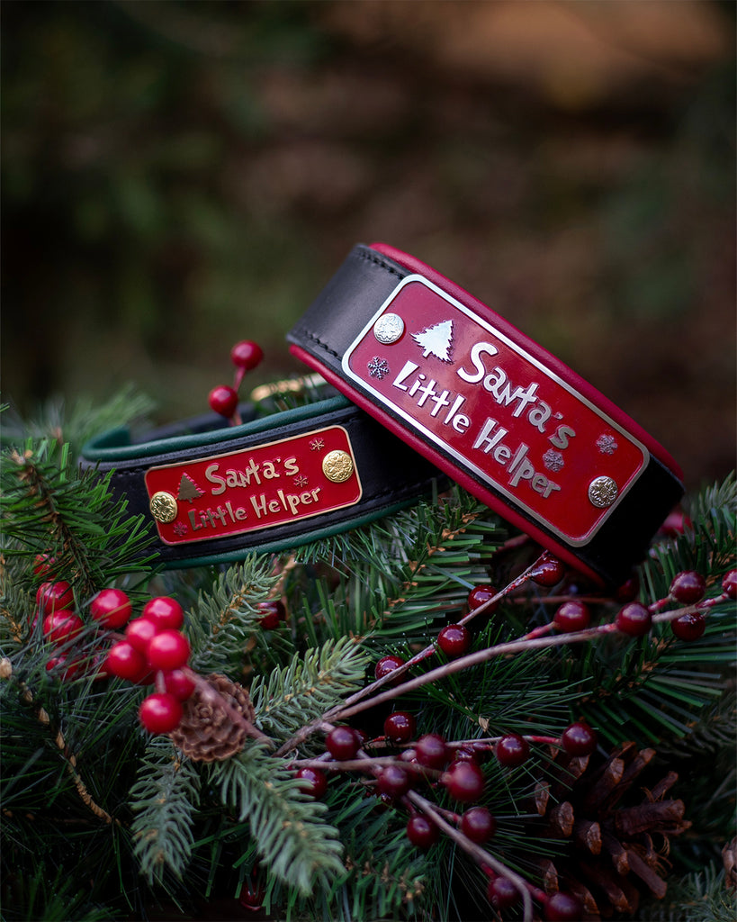 Santa's Little Helper