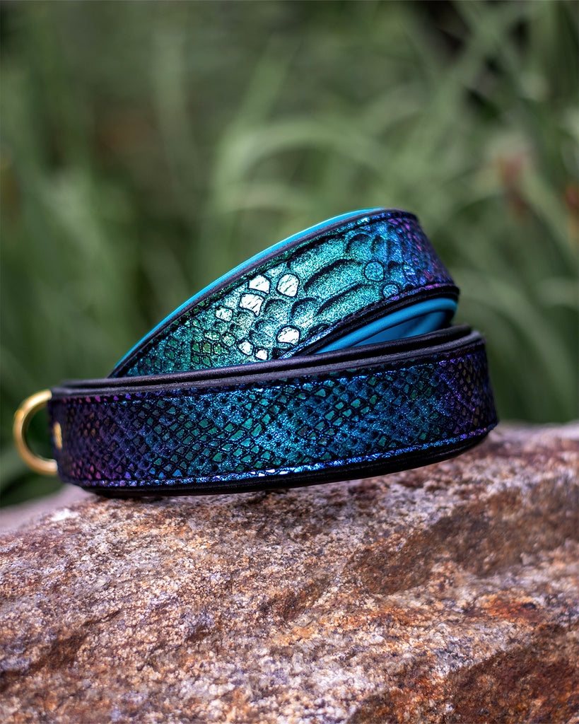 Teal Zinnia Deluxe - Sexy Beast Dog Collars