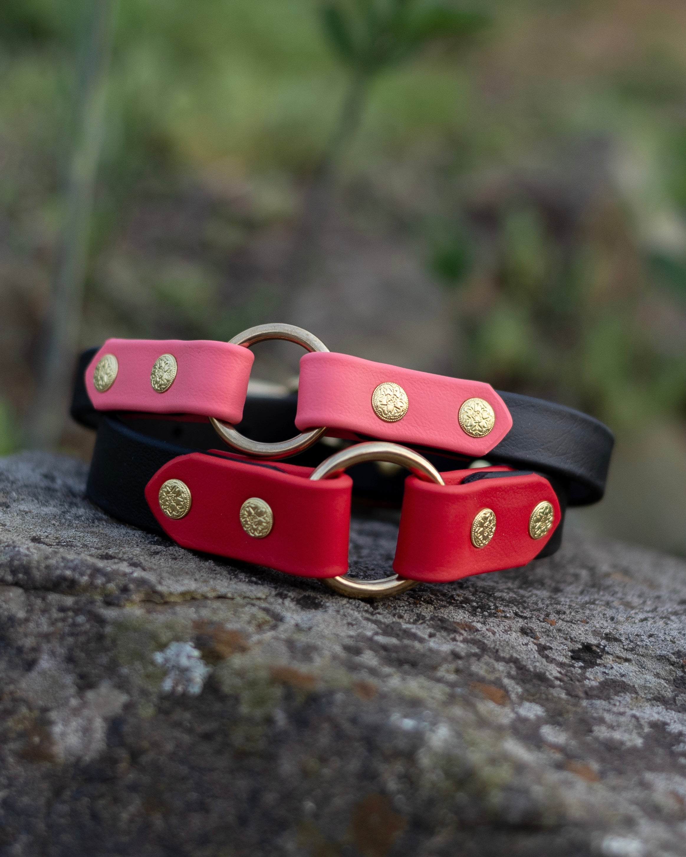 その他 Jun Oson Distance Red Dog Ozark Central O Ring Collar - Sexy Beast Dog Collars