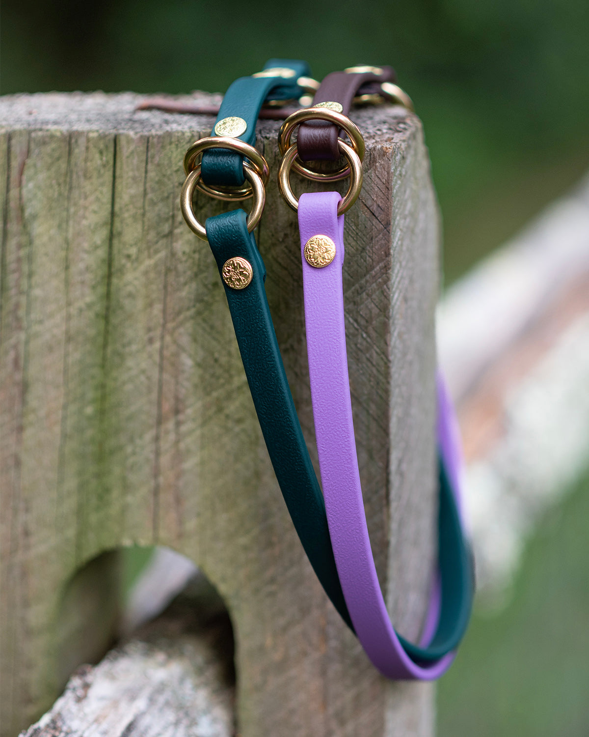 新品 CaRouseLamBRa DOT HOLE BAND COLLAR CD 新品 CaRouseLamBRa DOT HOLE BAND COLLAR CDの通販 by _Chii_｜ラクマ