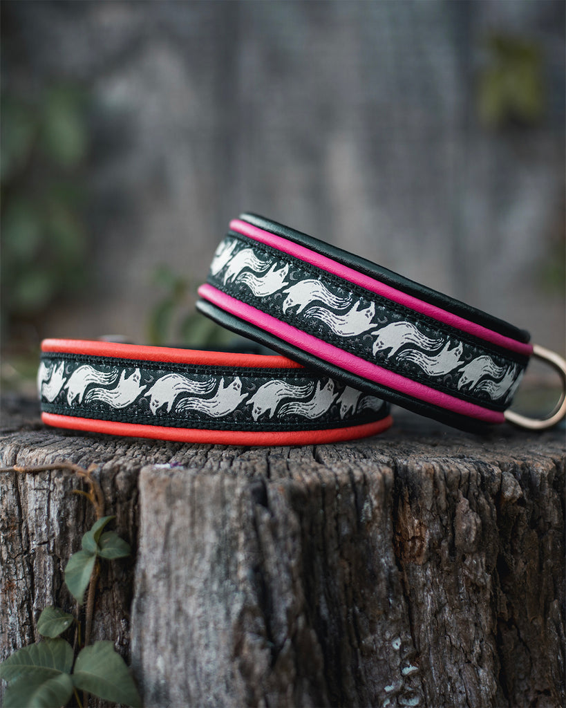Stay Spooky! Leather & Ribbon Dog Collar