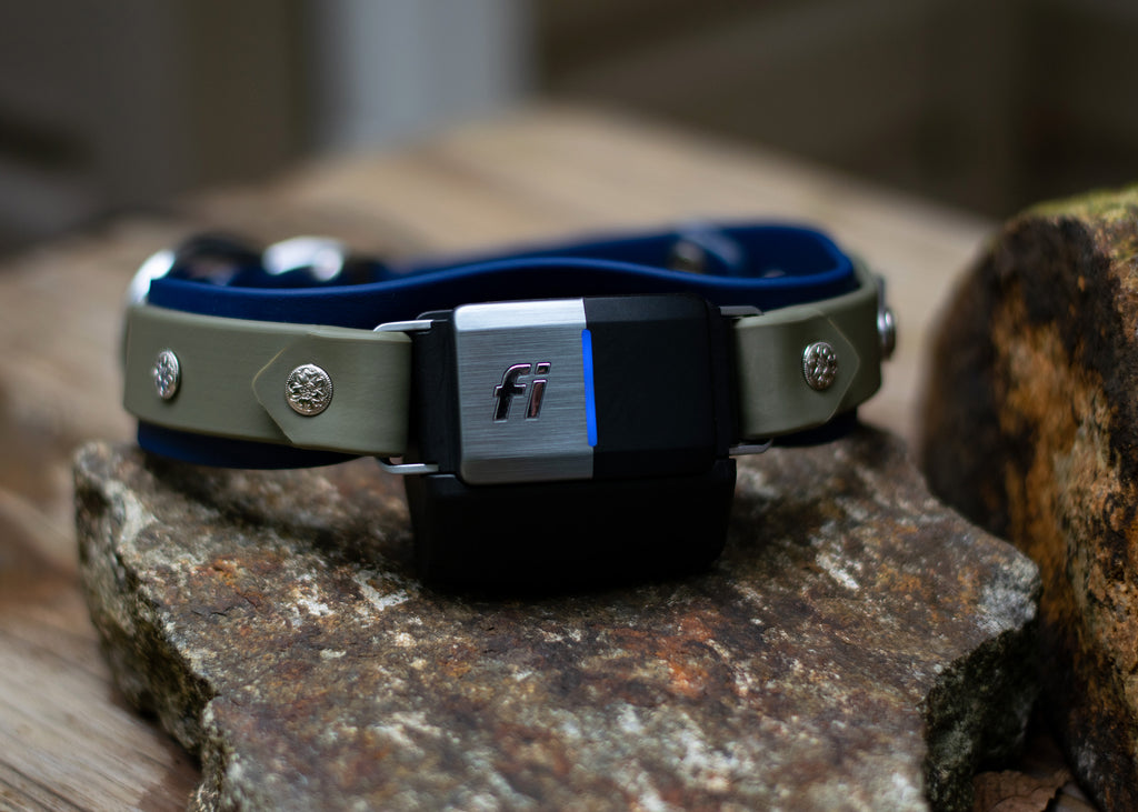 Aspen 1.5" Buckle Collar For Fi GPS Trackers
