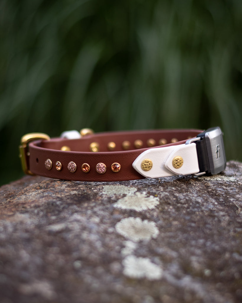 Lakeside 1" Buckle Collar with Bling for Fi GPS Trackers