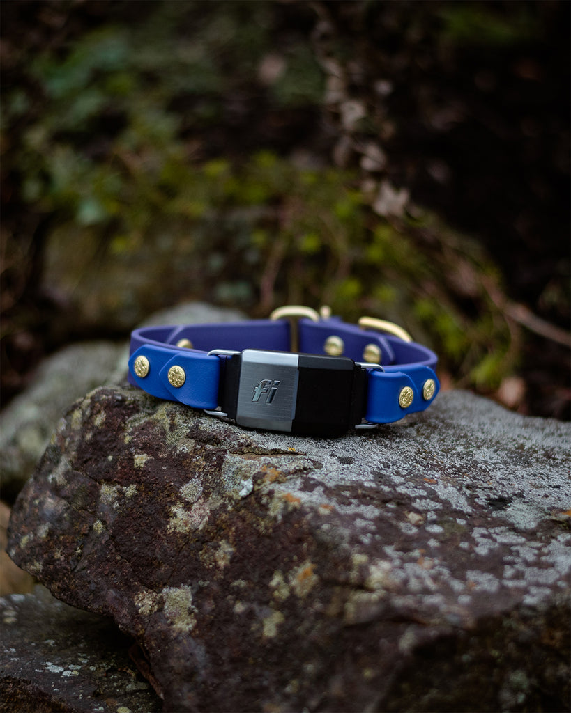 Lakeside 1" Fi compatible collar - Iris and Cobalt - SIZE 15" limited slip martingale - solid brass hardware
