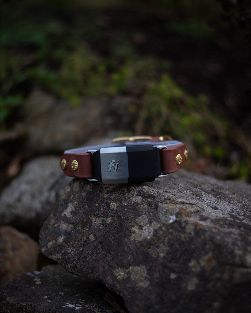 Lakeside 1" Fi compatible collar - Storm Grey and Peat - SIZE 11"-13" - belt-style buckle - solid brass hardware
