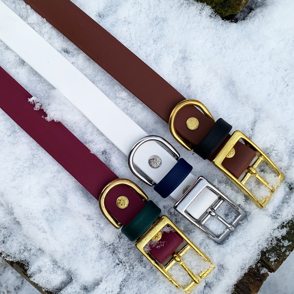 Catalina Biothane Buckle Collars - READY-TO-SHIP