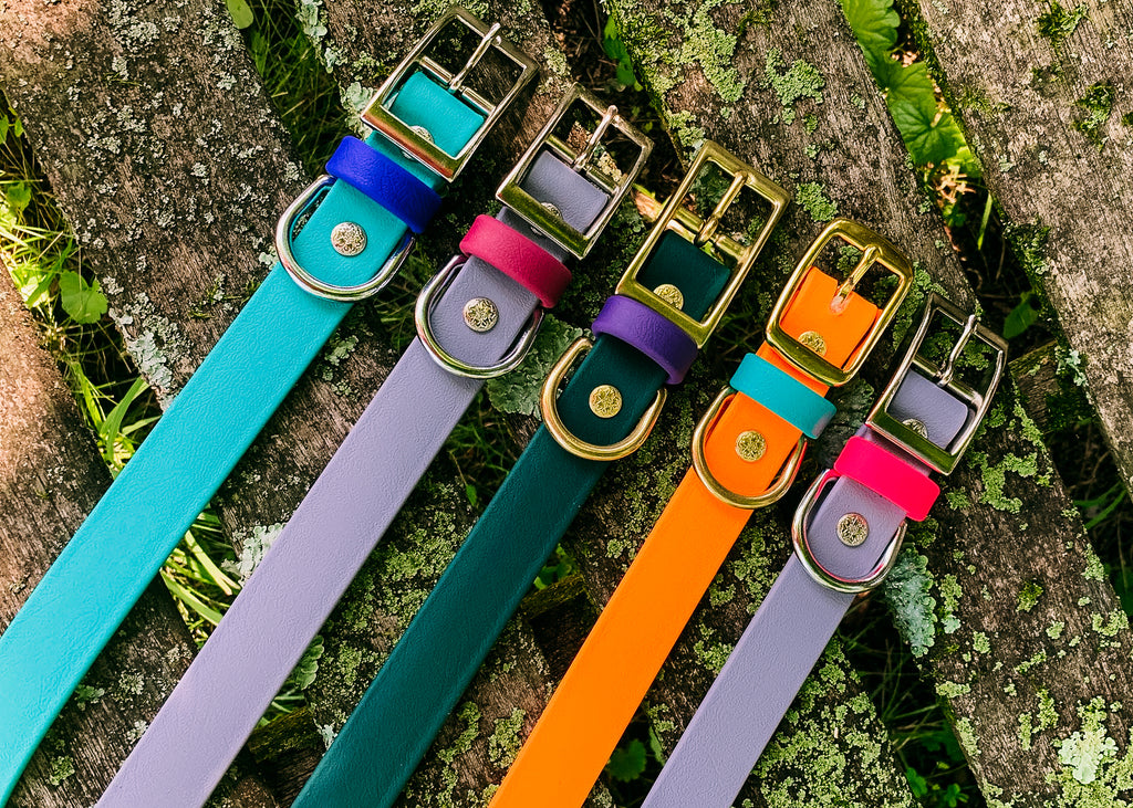 Catalina BioThane® Buckle Dog Collars